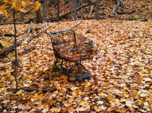 Shopping Cart Deer in the Woods